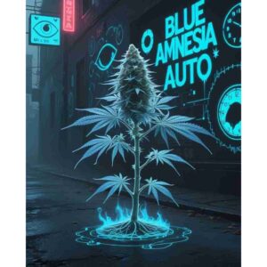 blue-amnesia-auto-cannabis-seeds