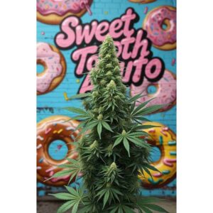 sweet-tooth-auto-cannabis-seeds