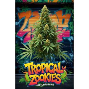 tropical-zookies-feminised-cannabis-seeds