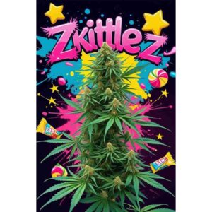 zkittlez-auto-cannabis-seeds