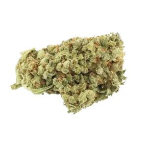 jack-herer-strain