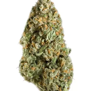 mango-haze