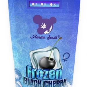 frozen-black-cherry-backpackboyz