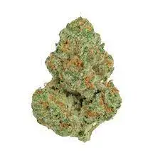 gorilla-glue-strain