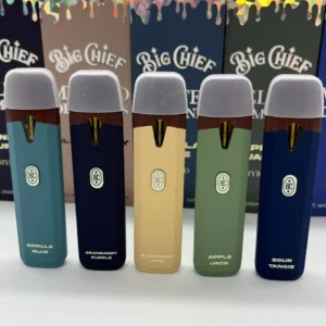 big-chief-disposable